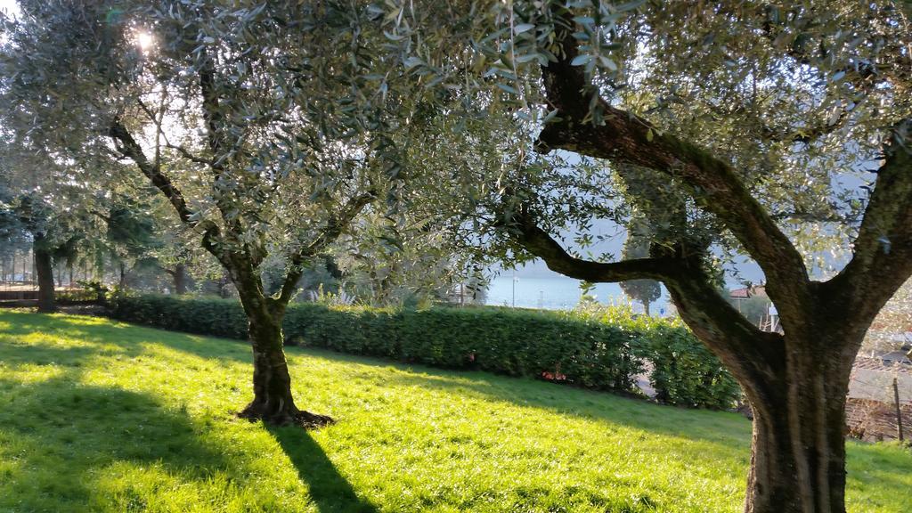 Villa Leilani B&B Sale Marasino Εξωτερικό φωτογραφία
